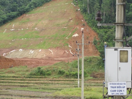 85 7 1343959644 18 images121912 anh co 2 Việc trồng “cỏ lạ” trên đường cao tốc Nội Bài  Lào Cai phải dừng từ tháng 6/2012